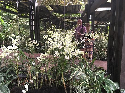 Botanic Gardens Singapore - foto Blue Lama